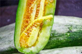 网红吃瓜网站推荐,带你领略娱乐圈风云变幻